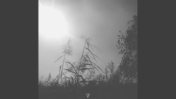 Transactional Relationship