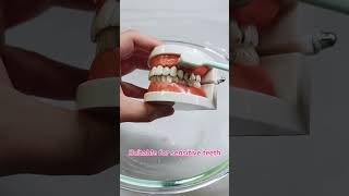 Soft Bristles Toothbrush Should Be Known.