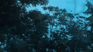 Bienvenido Omar A La Familia Tumae