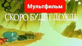 Скоро Будет Дождь ⭐ Мультик ⭐ Советские Мультфильмы ⭐ Союзмультфильм ⭐ Мультфильм 1959 Год