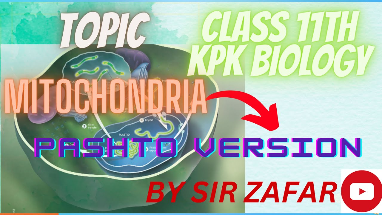Mitochondria || The Powerhouses of Life || A Fascinating Journey ...
