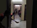 chuhe ki fielding set ka lr di #rathunting