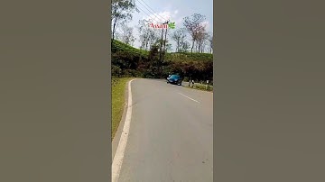 Assam University road silchar Barak valley India ❤️🌿 #assam #university #nature #travel #silchar