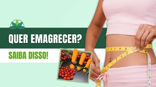 Queimar gordura corporal | Usando Planta Medicinal para um emagrecimento saudável Queimar gordura corporal | Usando Planta Medicinal para um emagrecimento saudável