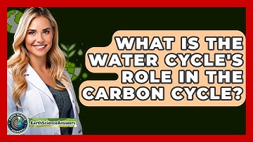 What Is The Water Cycle