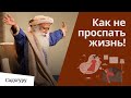 Как перестать видеть сны и начать жить