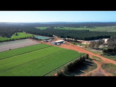 A Day on a Lettuce Farm in Western Australia