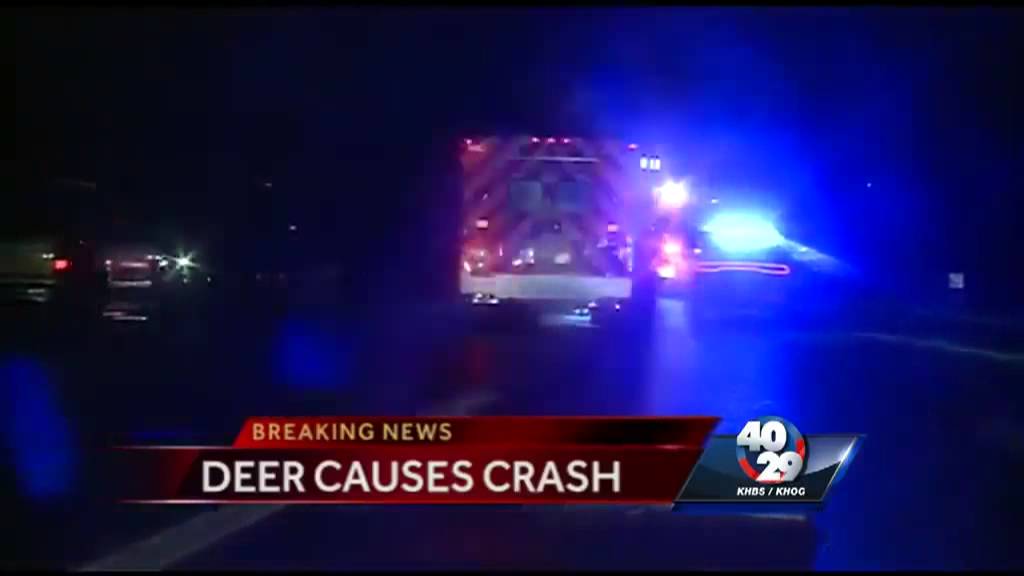 Deer causes crash on I-540