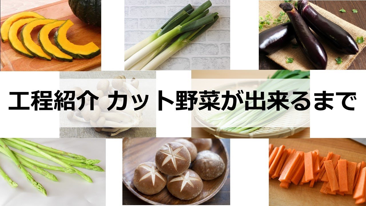 工程紹介 カット野菜が出来るまで - YouTube