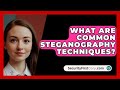 Discover the Top Steganography Techniques to Hide Data 🔍