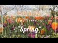 Vivaldi  the four seasons  violin concerto in e major rv 269 spring ii largo