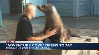 Columbus Zoo & Aquarium opens Adventure Cove