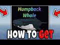 How to GET HUMPBACK WHALE FAST in FISCH FULL GUIDE LOCATION Roblox