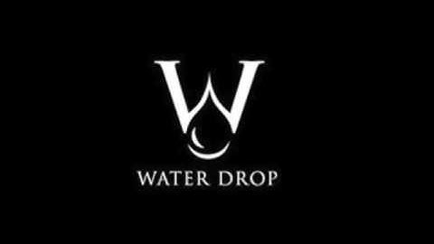 best fiverr logo gig intro video every seen on you tube