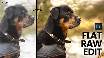 RAW FILE TO FINISHED FILE - Lightroom Editing Tutorial with YOUR Photos - Dog Photo Editing 101