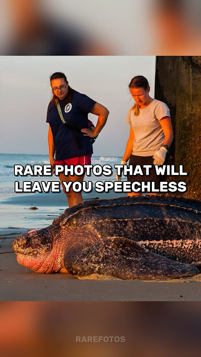 Rare Photos That Will Leave You Speechless! #shorts