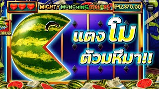 💯 | Mighty Munching Melons ▶ ตัวโคตรใหญ่ โคตรเท่ โคตรแตงโม !