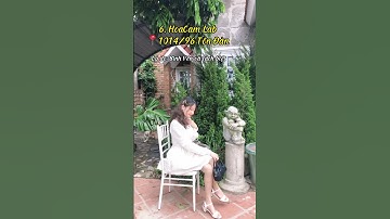 Top 11 quán cafe đẹp ở Đà Nẵng và lý do Thắm Tiêu quay trở lại | Du lịch Đà Nẵng 2023