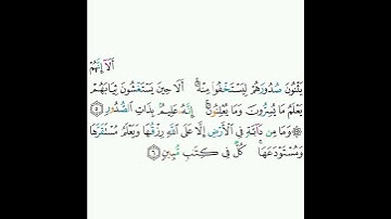 11 - سورة هود ٥-٦ - ماهر المعيقلي