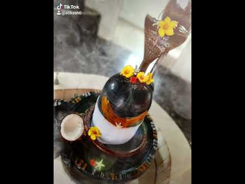 Om namah shivaye