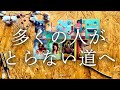 【真実のあなたを曝け出す！！（2/16～2/22）】～LITAよみ🔮～