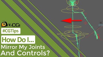 #CGTip | How Do I Mirror My Joints And Controls?