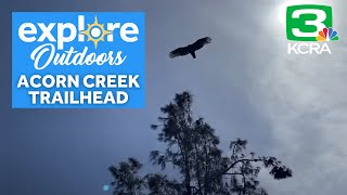 Explore Outdoors: Acorn Creek: where hawks soar, water babbles