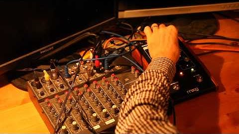 Moogerfooger MF104M Demo kurz/short