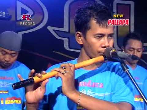 Piye piye New Pallapa Live Sawocangkring Wonoayu Sidoarjo