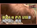 극한직업 - Extreme JOB_싸움소 조련사 1부_#002