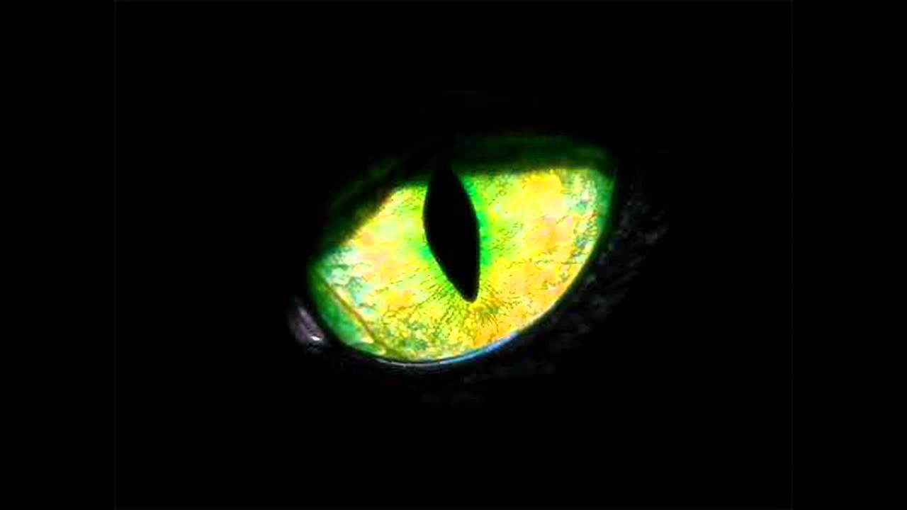 Черный зеленый глазками. Глаза на черном фоне. Глаза на темном фоне. Зеленые глаза на черном фоне. Зеленые глаза в темноте.