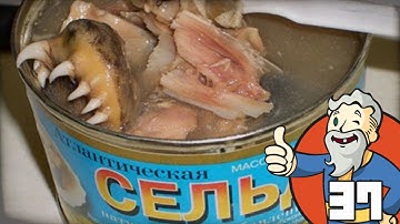 "OHHH TAINTED MEAT!!!" Fallout 4 Part 37 - 1080p HD PC Gameplay Walkthrough