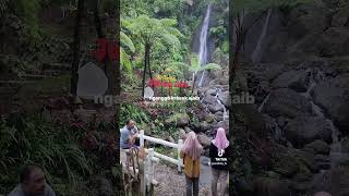 Lagu Doraemon Jawa #shorts #doraemon