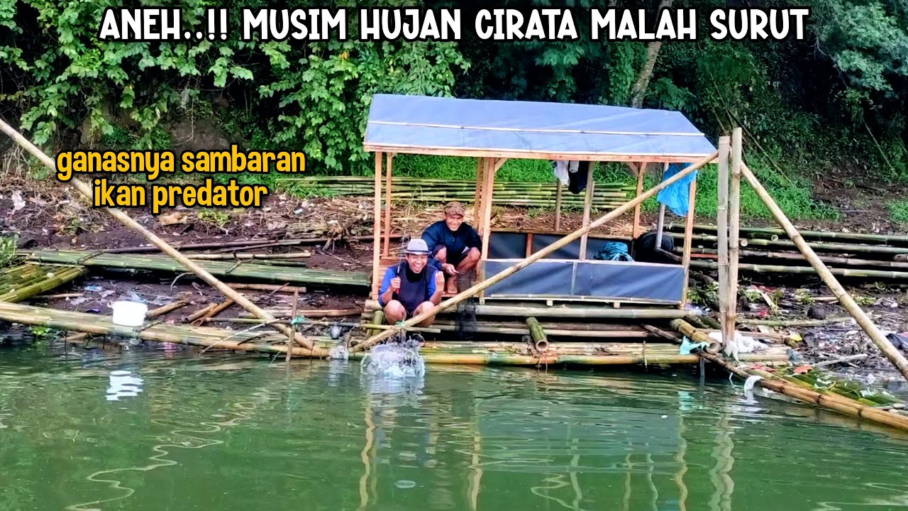 SPOT BARU DI TAHUN BARU‼️MANCING TEPAT DI SARANG IKAN PREDATOR | fishing & cooking