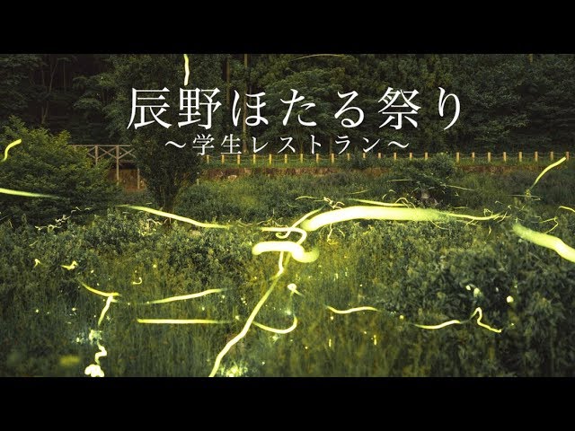 光り輝くホタルのように ほたる祭り Pinto Hiroki Oguchi Youtube