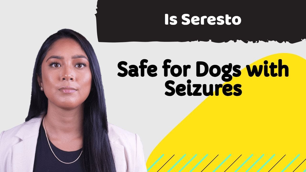 Is Seresto Safe for Dogs with Seizures? Dr. Amilia Johnson Explains