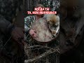 КОГДА ТЫ ТА, КЕМ ЯВЛЯЕШЬСЯ #психология #общение #предназначение #путьксебе
