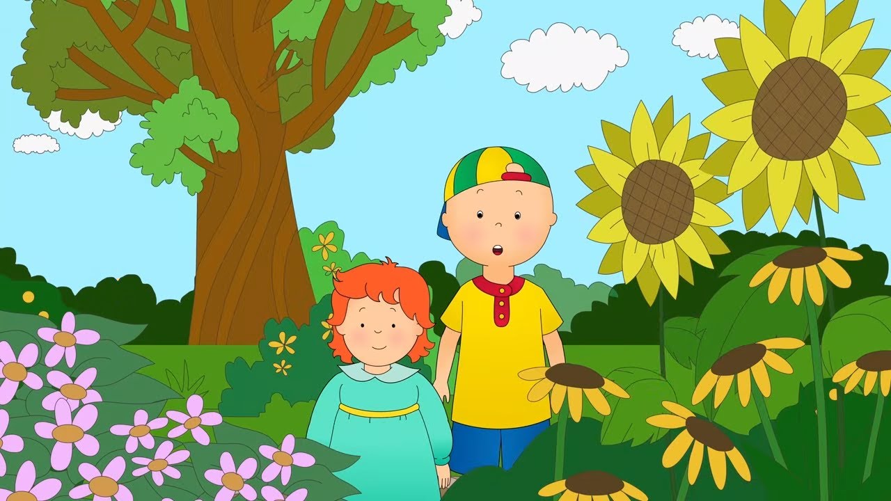 Une journée au jardin botanique | Dessins animés pour enfants | Caillou en Français