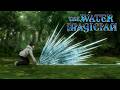 He Trained for Months to Attack with Water | The Water Magician