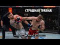 БОЙ: Ян Блахович vs Александр Ракич. ОБЗОР UFC FN: Куцелаба, Спенн, Джонсон, Чукагян