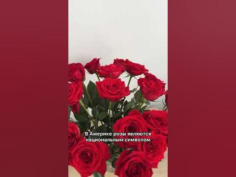 В Америке дарят чётное количество цветов на праздник #жизньвсша - YouTube