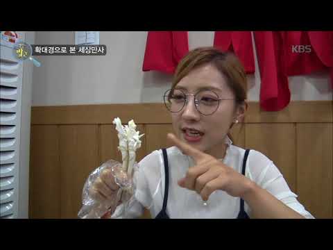 생활의 발견 - 닭다리 아니고! 꽃게찜 맛있게 만들기 꿀팁!. 20171017
