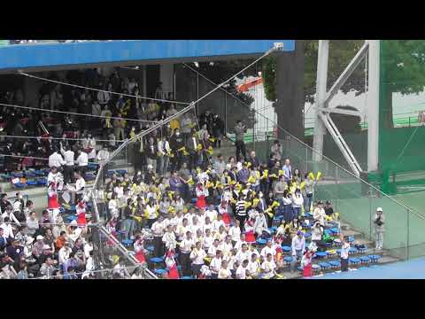 2019春季東京都大会応援　帝京　ポパイ~ルパン~We  will  Rock  You~さくらんぼ