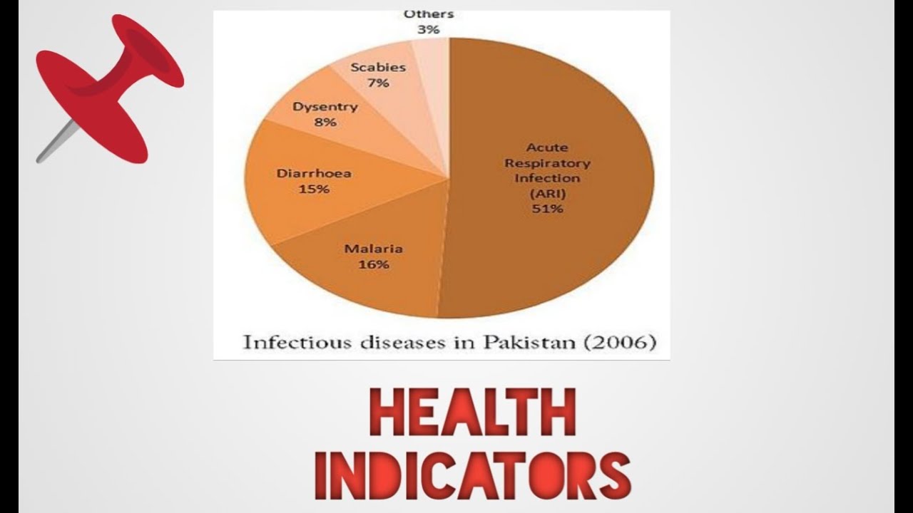 HEALTH INDICATORS in community Health NURSING, URDU/ HINDI YouTube