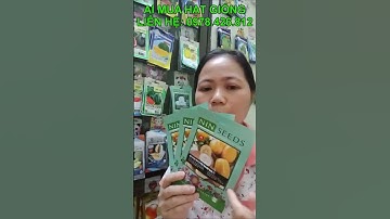cửa hàng bán hạt giống dưa lê f1 nhập khẩu hàn quốc chính hãng , giao hàng toàn quốc cho bà con