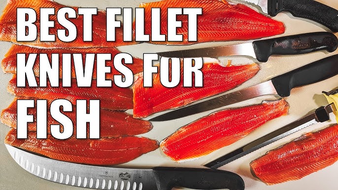 7 Best Fillet Knives Under $30 (Tested for over 3 months) 