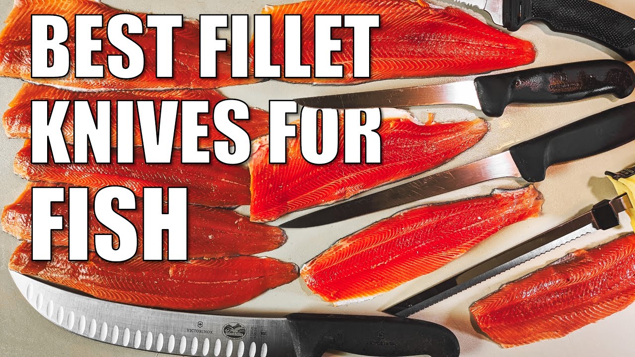 Best Fillet Knives for Fish 