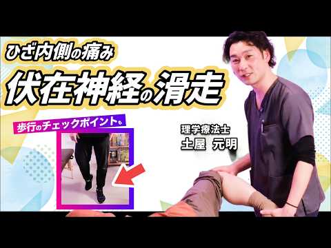 Nerve Gliding] Saphenous Nerve Gliding and Kinetic Chain - YouTube
