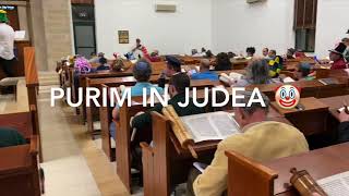 60 Seconds of Purim in Judea 🇮🇱🤡