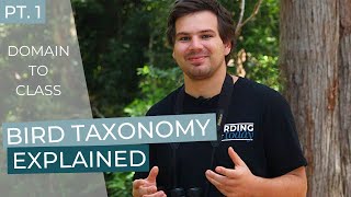 Bird Taxonomy Explained | Part 1: Domain to Class | BIRDING TODAY SPECIAL